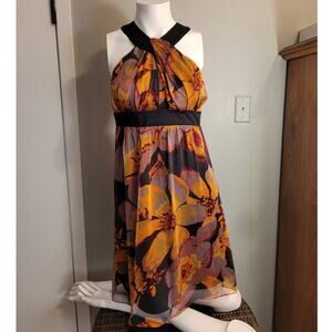 The Limited Autumn Floral Empire Flare Dress Size 0 Fairycore Balletcore Flowy